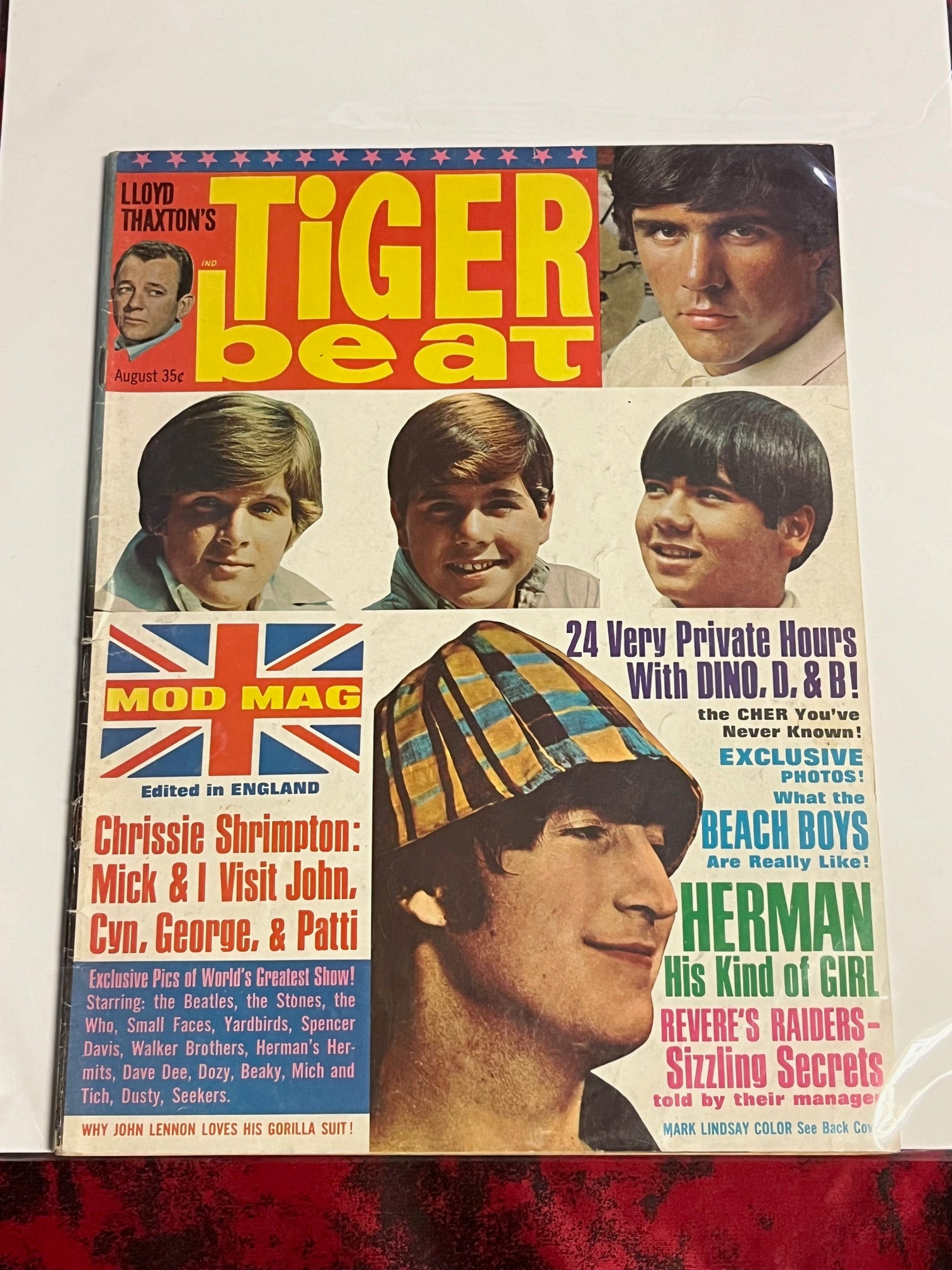 Online - Rocky Mountain Punk - Memorabilia & Collectibles | Rocky